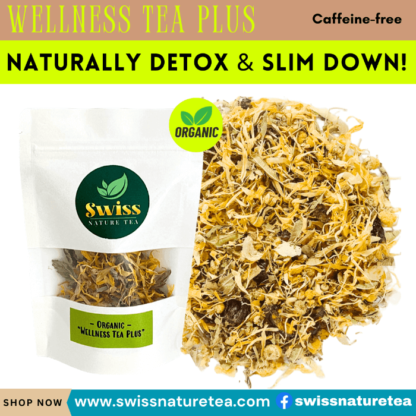 Bio "Wellness Tea Plus" – Bild 2